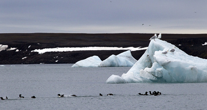 Iceberg in Tikhaya Harbor, Franz Josef Land, Russian Arctic National Park