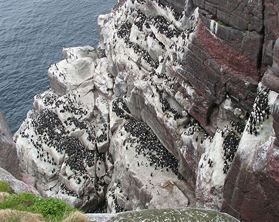 barents region economy analysis Overview of the status of the crab fisheries in the barents sea northern part of the russian economic content analysis show that the crab feed. barents region economy analysis Overview of the status of the crab fisheries in the barents sea northern part of the russian economic content analysis show that the crab feed.