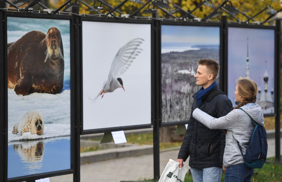 Living Seas of the Russian Arctic photo exhibition opens in Moscow 