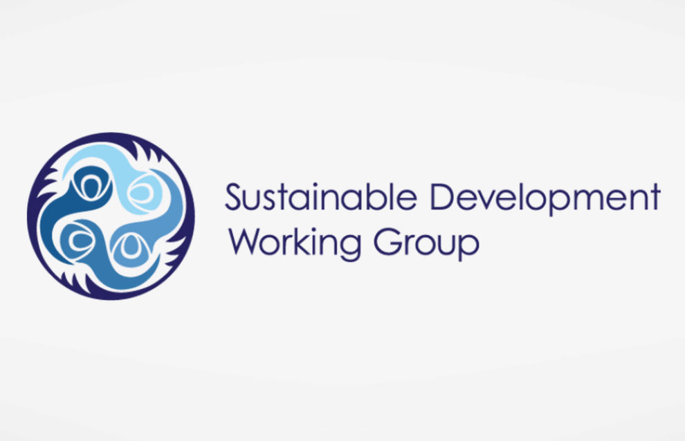 Sustainable Development Working Group to hold meeting in Moscow 