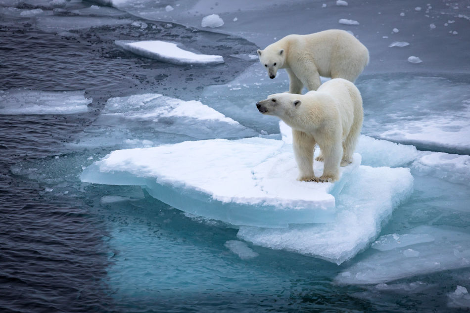 Экспедиция «Арктика 2020»