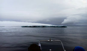 Снимок, сделанный во время экспедиции сотрудниками нацпарка «Русская Арктика»