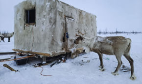 Nomadic Taimyr reindeer breeders and fishermen to get snap-together homes