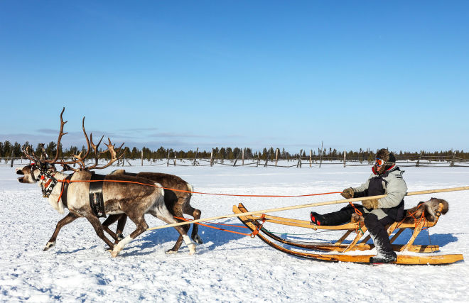 International Traditional Reindeer Herding Championship kicks off in Yakutia