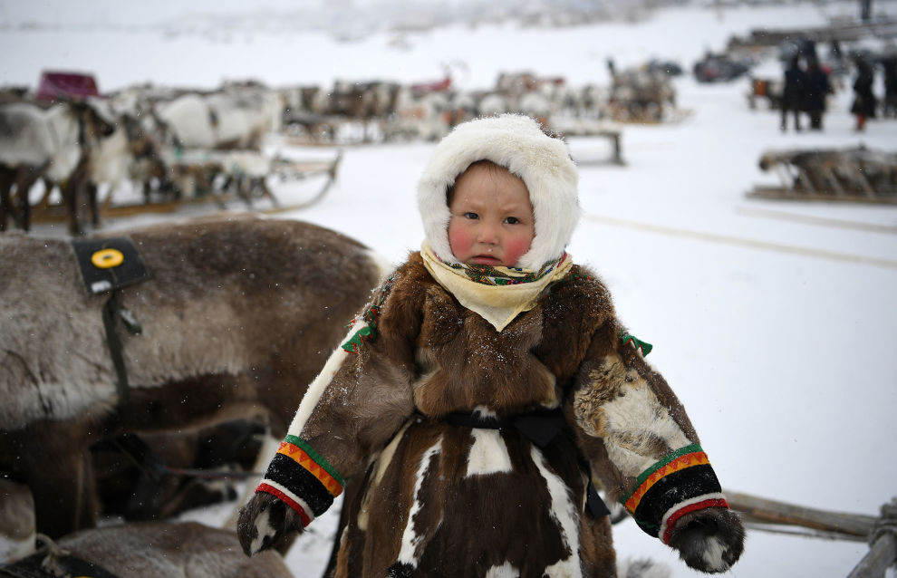 На программу «Дети Арктики» до 2025 года направят около 1,35 млрд рублей