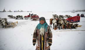 Статус арктических кочевников предложили закрепить законодательно