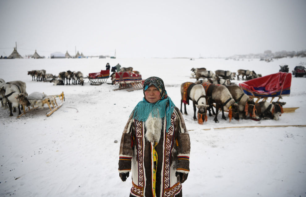 Статус арктических кочевников предложили закрепить законодательно