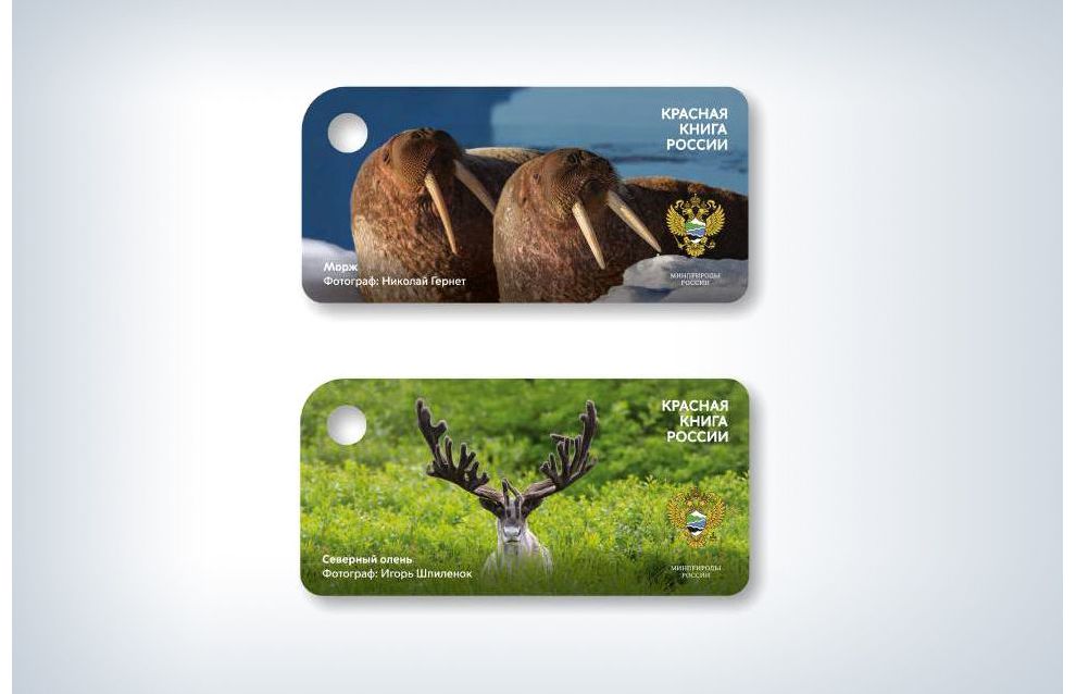 Arctic animals appear on Moscow Metro cards