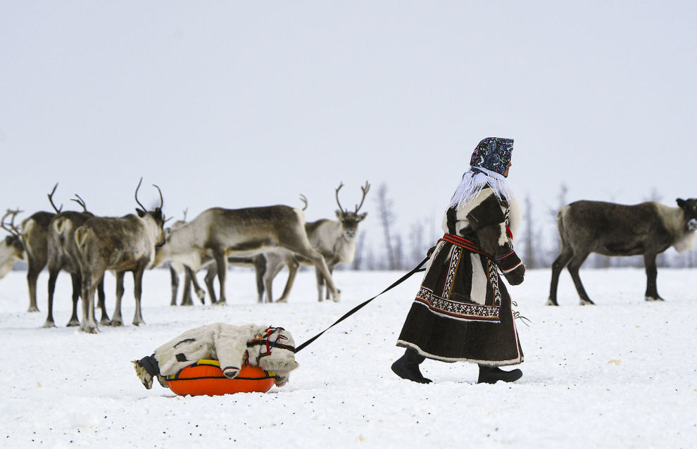People living at the reindeer camp