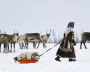 People living at the reindeer camp
