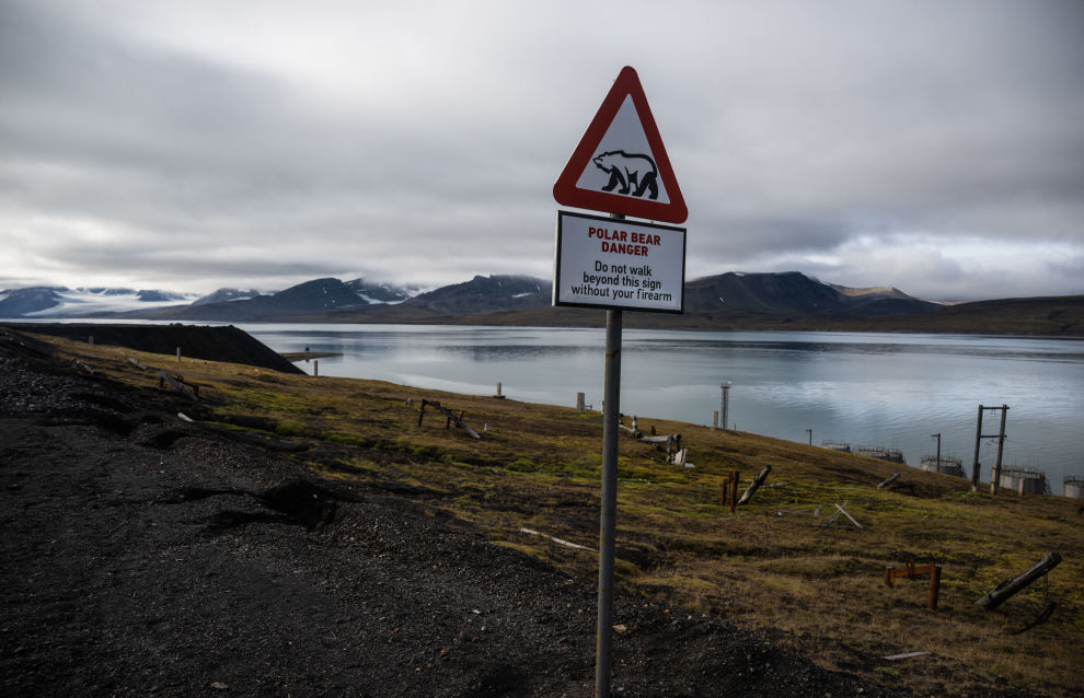 A picture shows a view of an island near the Barentsburg settlement on the Svalbard archipelago, Norway