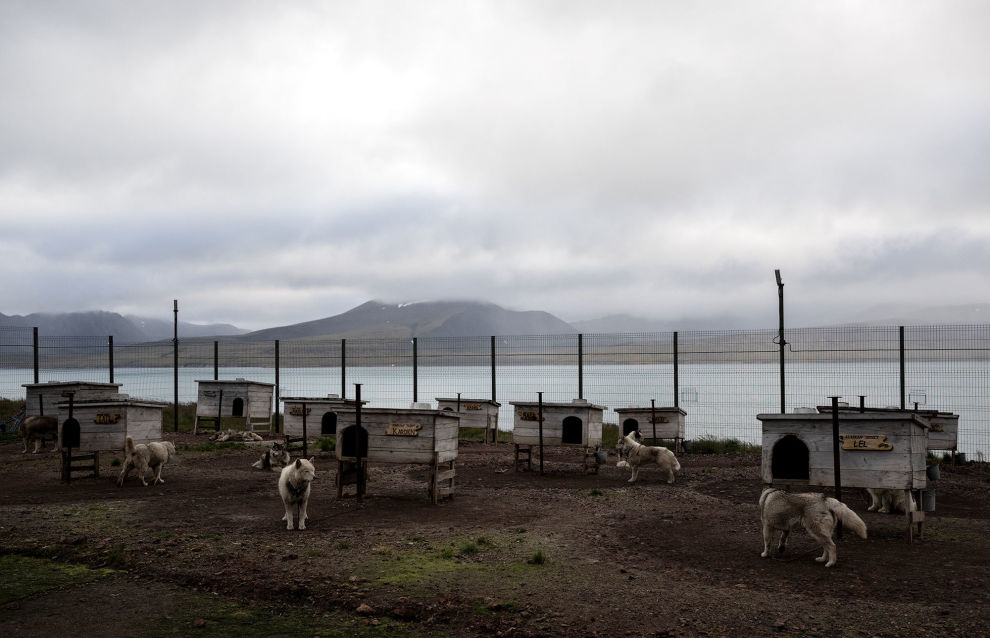 A husky kennel is seen in the settlement of Barentsburg on the Svalbard archipelago