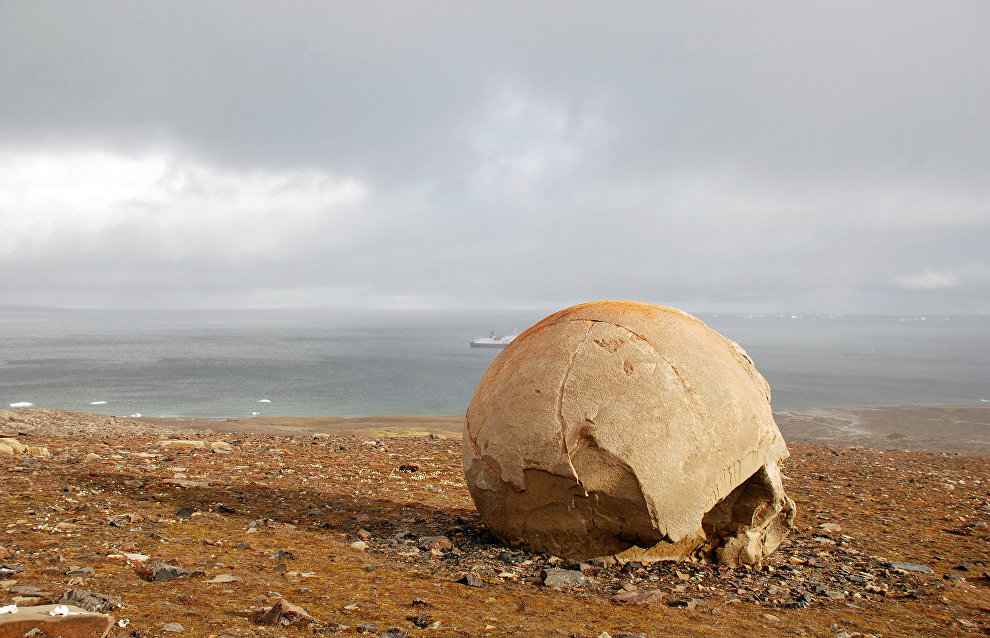 Круглые камни на Острове Чамп