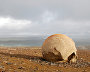 Круглые камни на Острове Чамп