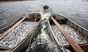 Fish catch restrictions to be introduced for indigenous peoples of the North