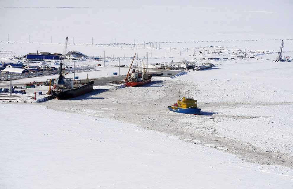 Progress in building Sabetta seaport discussed in Yamal