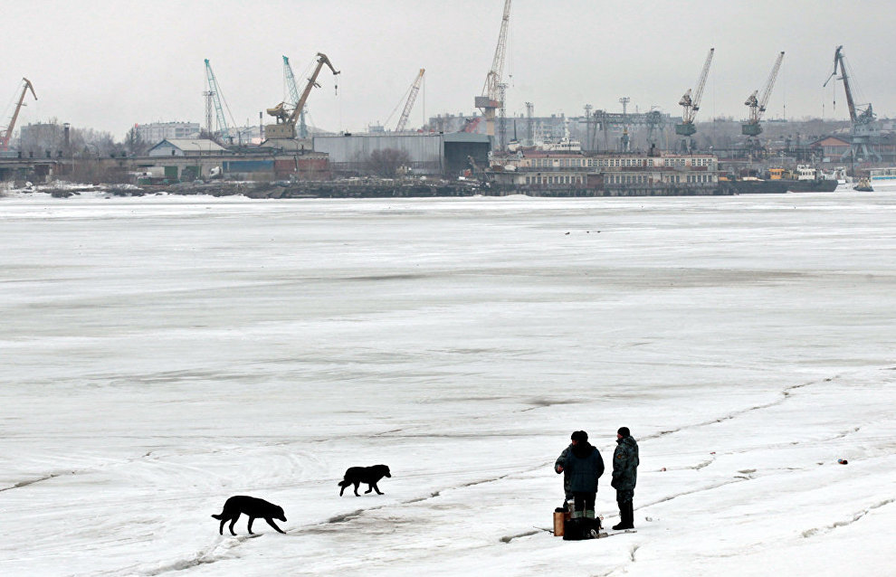 Center for Arctic Studies to be set up in the Arkhangelsk Region