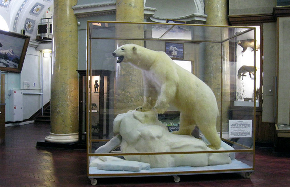The Museum of the Arctic and Antarctic