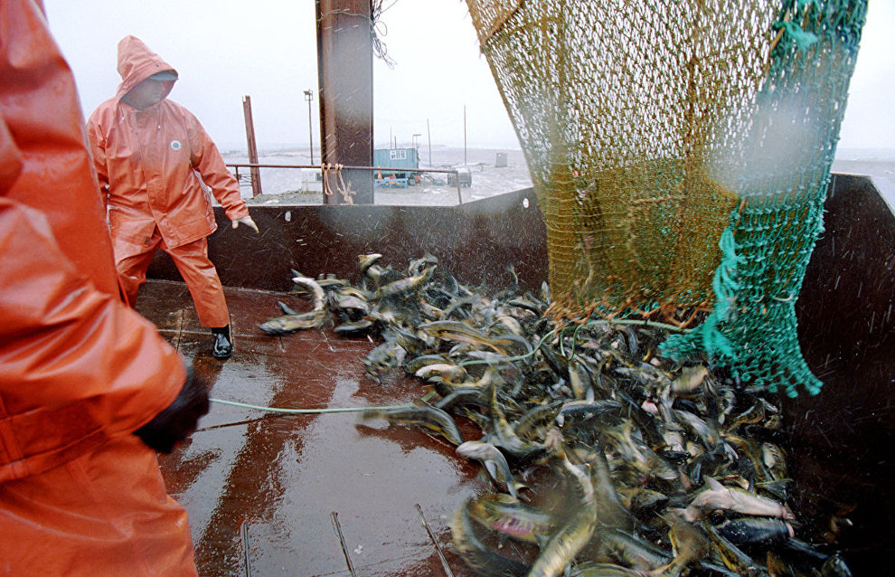 Russia, US to join efforts in combating illegal fishing