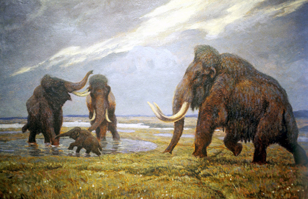 Fisherman catches mammoth remains in Yamal lake