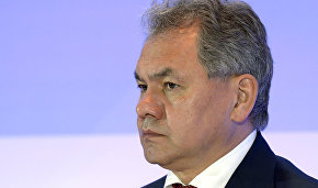 Sergei Shoigu: Russian Defense Ministry to boost Arctic presence by year end