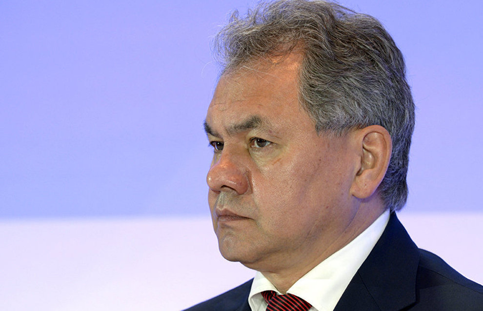 Sergei Shoigu: Russian Defense Ministry to boost Arctic presence by year end