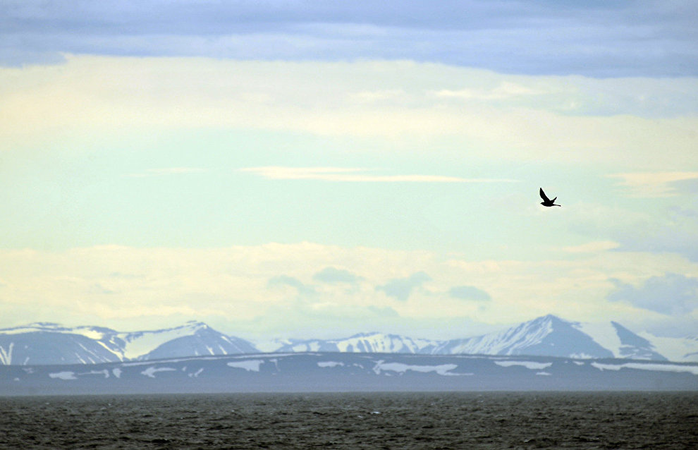 Northern Fleet hydrographers discover a new island in the Russian Arctic