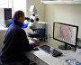 Working with a microscope at the Russian scientific center’s chemical laboratory on Spitsbergen (Svalbard)