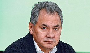 Shoigu: Construction of office, housing complexes wraps up in Arctic