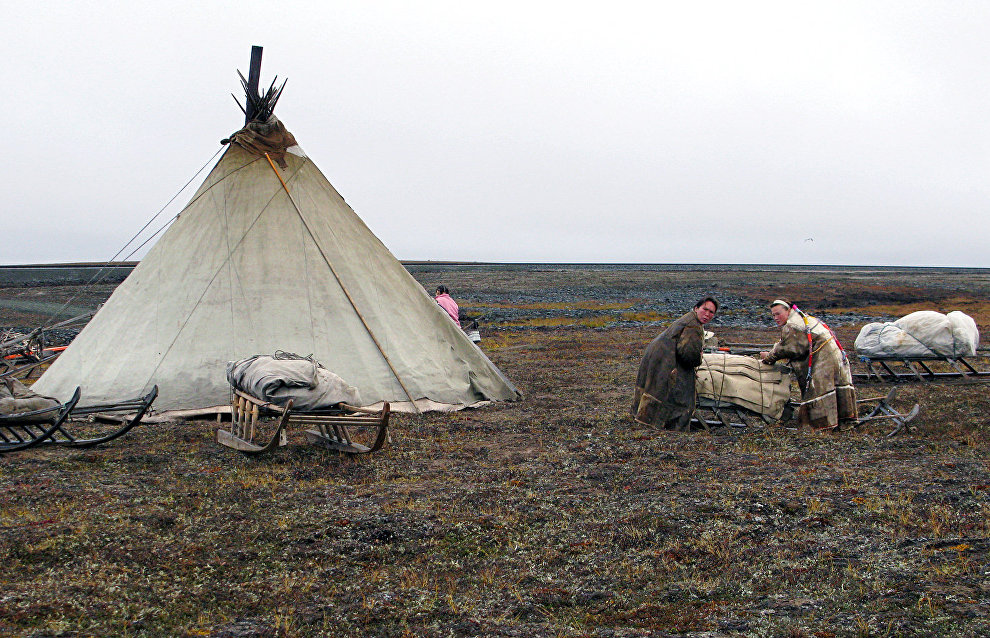 A camp of Nenets reindeer breeders on Yamal Peninsula