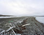 A driftwood cemetery to the south of Novaya Zemlya. Abrosimov Bay