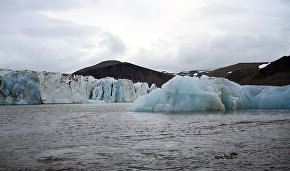 Scientists discover snow algae speeding up Arctic glacier melting