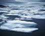 Бухту у мыса Саханин на юге архипелага Новая Земля затягивает ледяными полями. Конец июля 2015 года