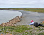 A Center for Marine Studies specialist observes walruses. Cape Bolshoi Lyamchin Nos, Vaigach Island