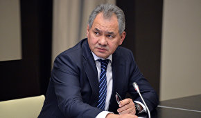 Shoigu: Russian Geographical Society to make Arctic more accessible