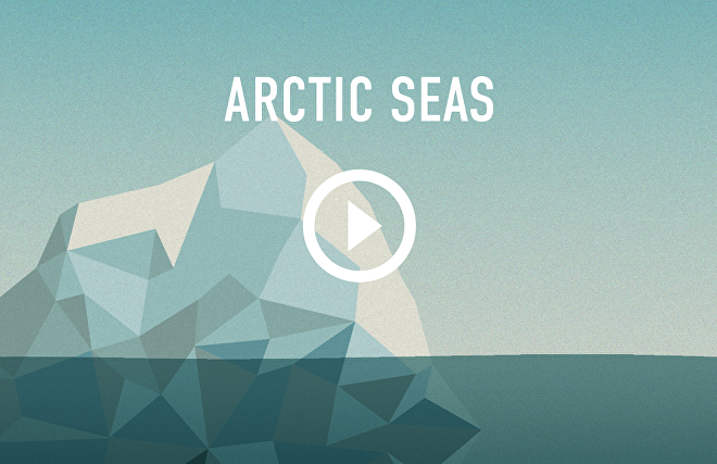 Arctic Seas