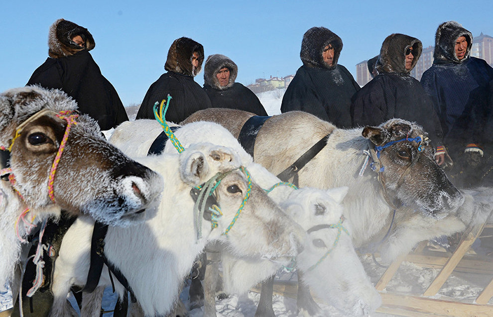 Reindeer Day celebrations kick off in Yamal