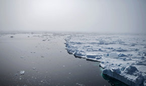 Irina Orlova: Ice floe found for Barneo 2016 expedition