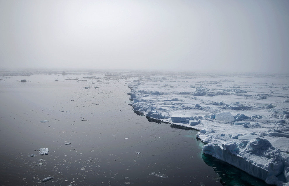 Irina Orlova: Ice floe found for Barneo 2016 expedition
