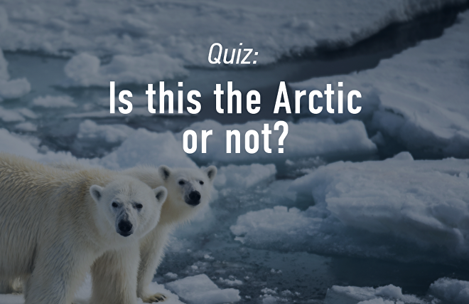 Is this the Arctic or not?
