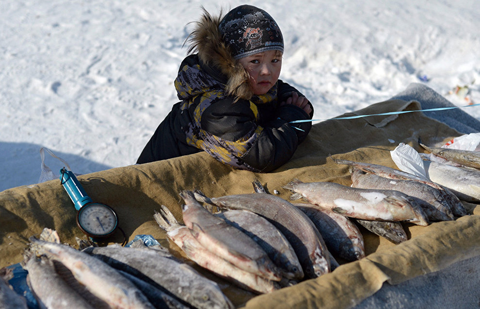 Подготовлен проект программы поддержки традиционной деятельности КМНС в Арктике