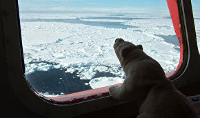 «Атомфлот» совершит четыре круизных рейса к Северному полюсу летом 2016 года
