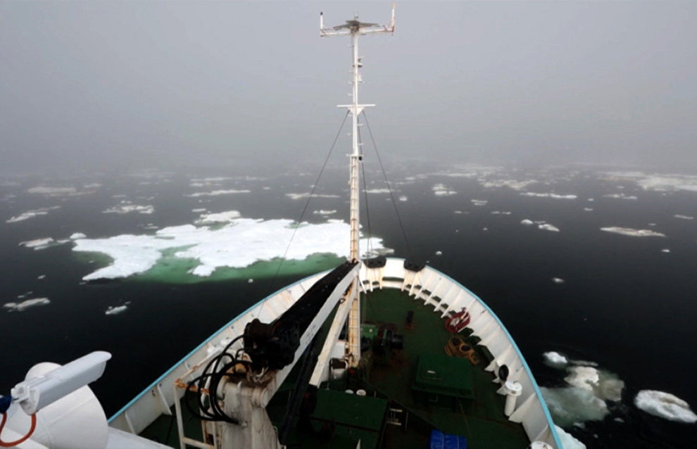 Экспедиция Арктического плавучего университета к Новой Земле стартует 10 июня

