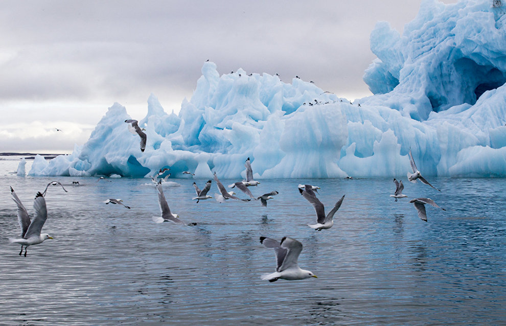 Iceberg in Tikhaya Harbor, Franz Josef Land, Russian Arctic National Park