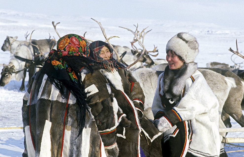 Открыт приём заявок на участие в акселераторе «Этно-Арктика»
