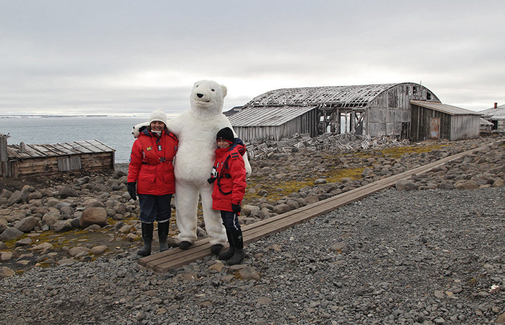 Plans to include Arctic tourism service in a national project
