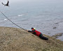 Zoologist Miroslav Babushkin catches guillemots to attach transceiver to track location and migration patterns