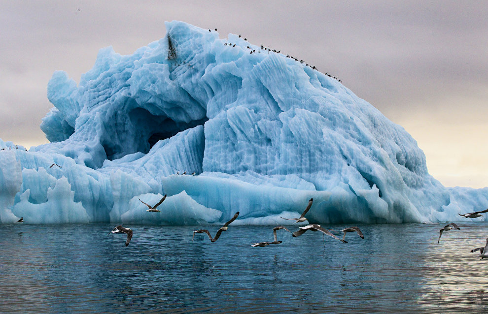 Игорь Шумаков: новые острова в Арктике возникают из-за таяния ледников