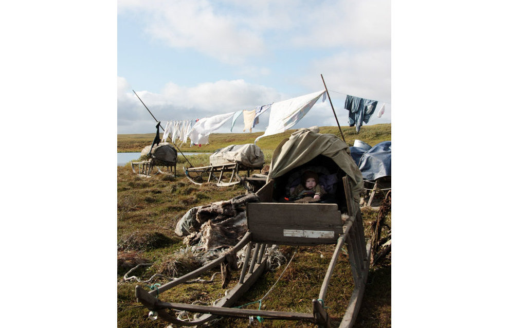 A reindeer-herding community on the Kanin Peninsula