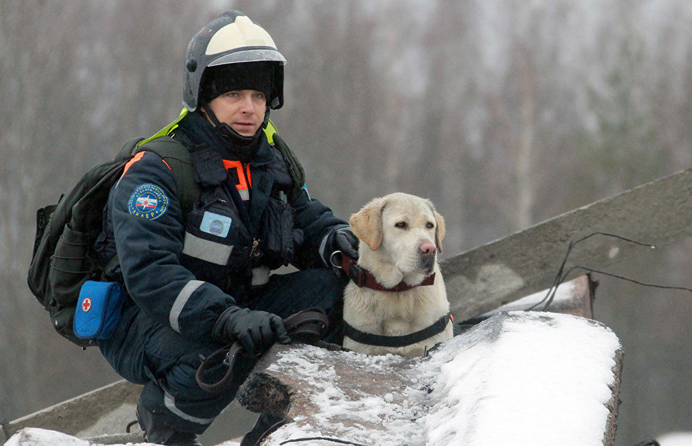 МВД Финляндии использует опыт РФ в оснащении арктических спасательных групп